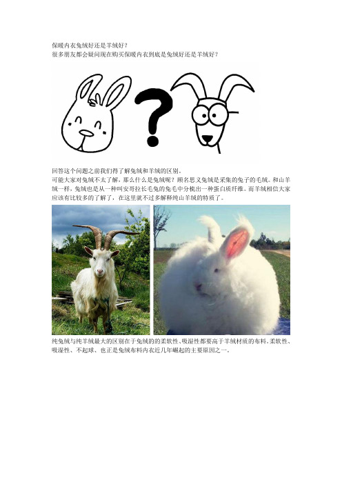 羊绒和兔绒的区别