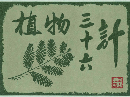 植物三十六计 汪远