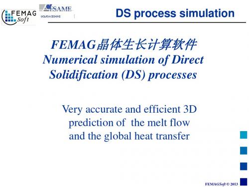 FEMAG晶体生长计算软件-DS法(定向凝固法)模拟