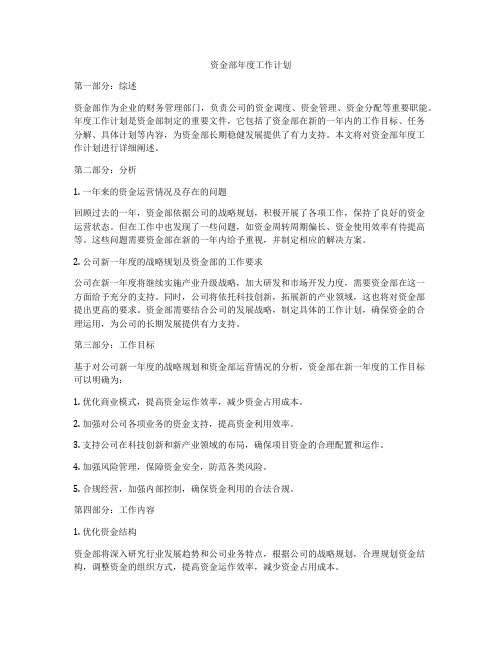 资金部年度工作计划