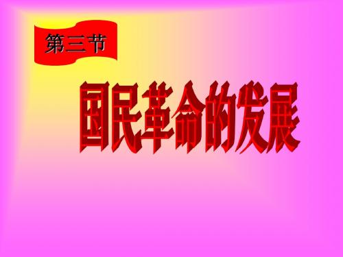 国民革命运动的发展ppt3 人教版