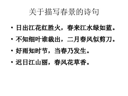 苏教版五年级下册 古诗两首(《游园不值》《宿新市徐公店》)PPT课件11