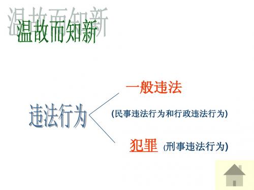 8.2严守法律