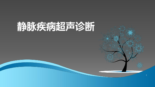 静脉疾病超声诊断ppt课件