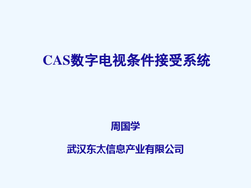 CAS数字电视条件接受系统概述