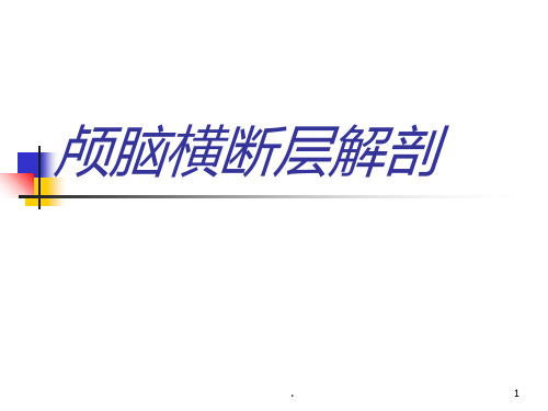 颅脑横断层解剖头部横断