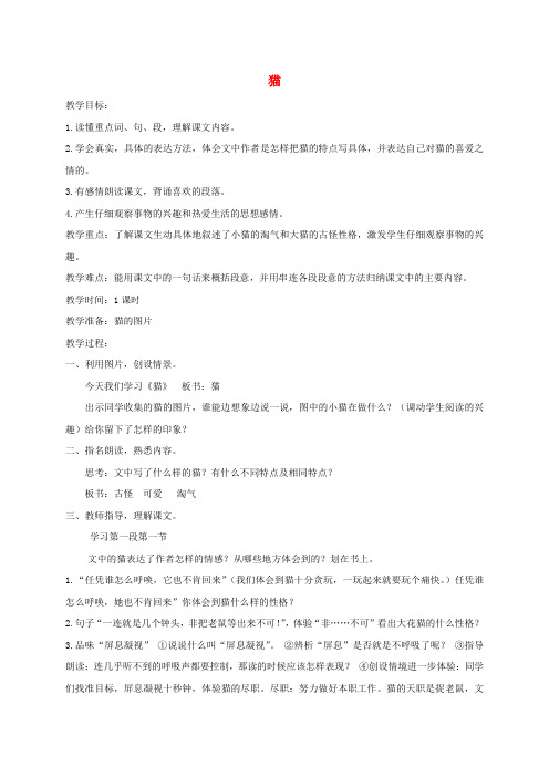 五年级语文下册 猫3教案 语文S版