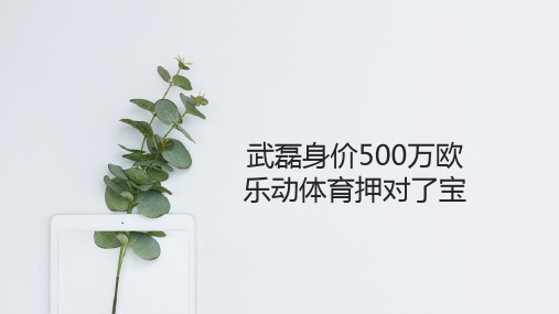 武磊身价500万欧  乐动体育押对了宝
