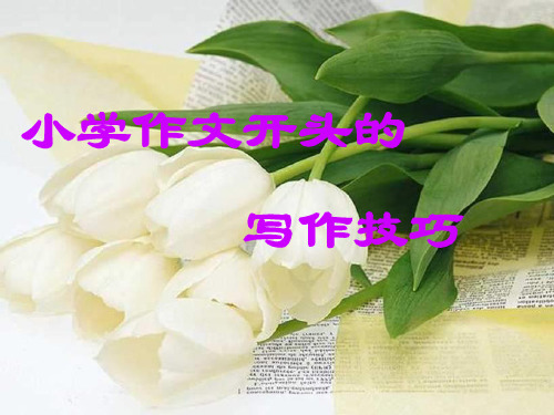 小学作文开头的写作技巧ppt两课时)