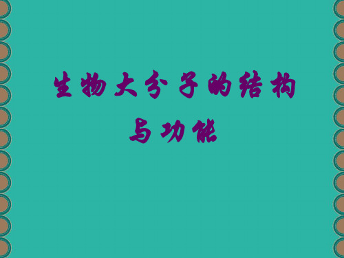 第一专题生物大分子的结构与功能-文档资料157页