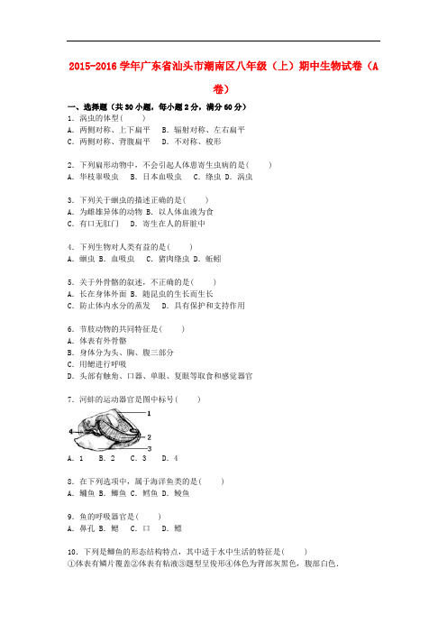 广东省汕头市潮南区2015-2016学年八年级生物上学期期中试题A卷(含解析)