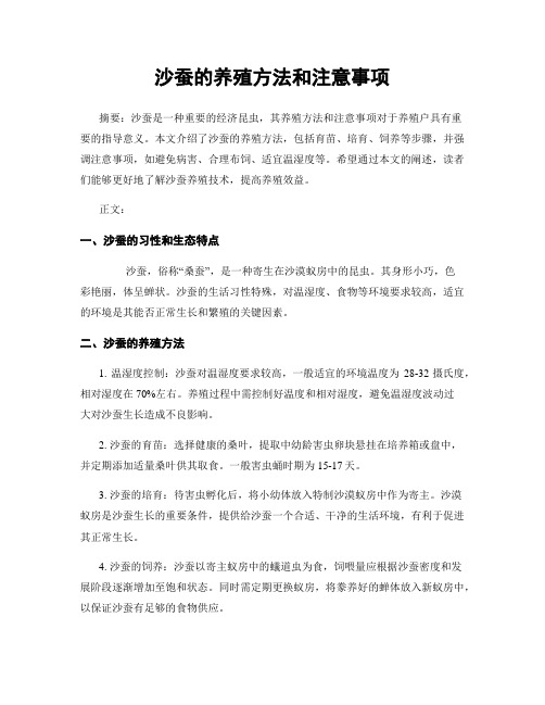 沙蚕的养殖方法和注意事项