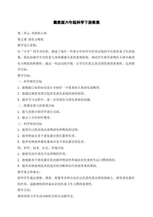 冀教小学科学六下册《5消化与吸收》word教案 (1)