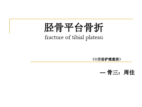 右胫骨平台骨折PPT课件