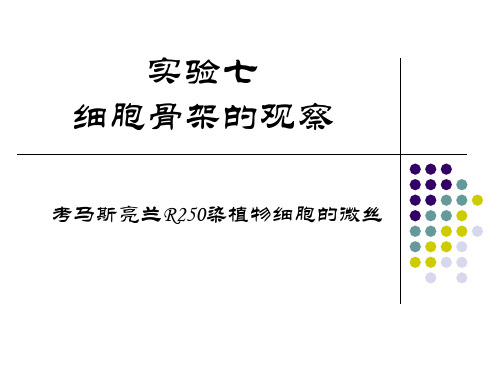 实验七细胞骨架的观察考马斯亮兰R染植物细胞的微丝