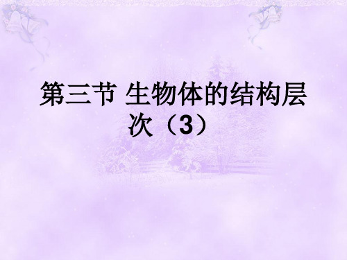 生物体的结构层次(器官和系统)ppt课件