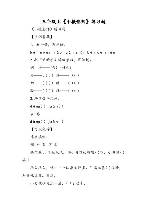 三年级上《小摄影师》练习题-精选文档