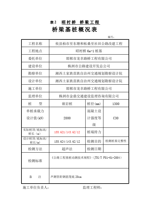 10-27桩基检测申请表-表2(修改后)