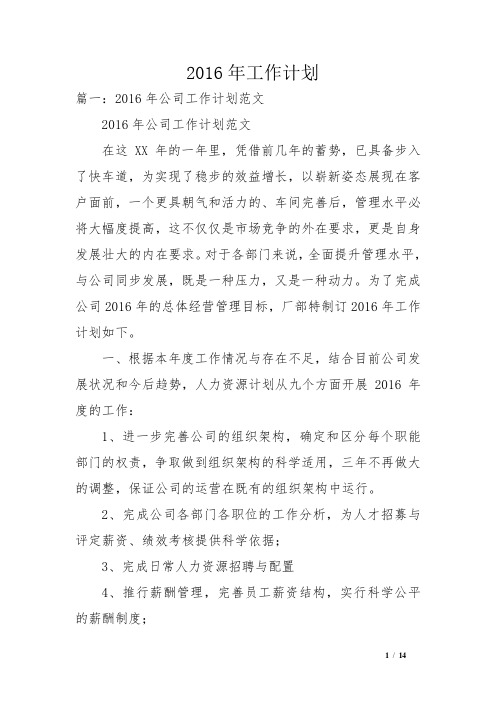 2016年工作计划