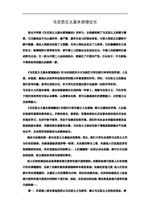 马克思主义基本原理论文