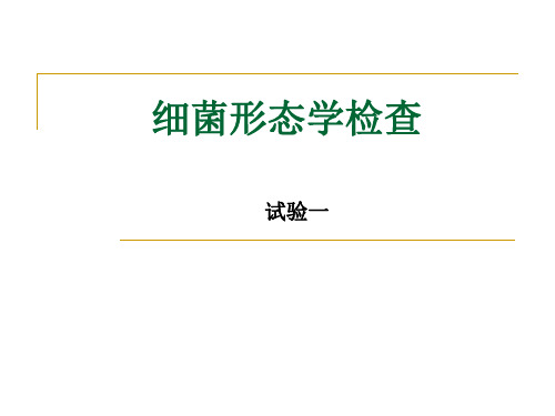实验1细菌形态学检查