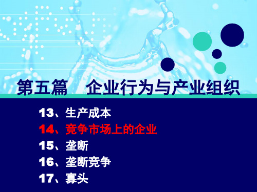 第十四章 竞争市场上的企业