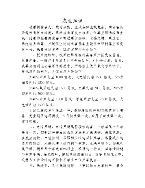 板栗重点病虫害的防治
