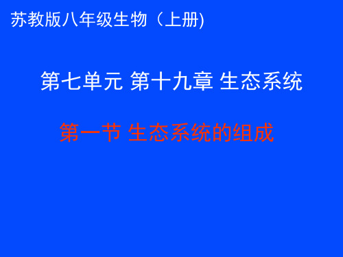苏教版初中生物八年级上册 7.19.1 生态系统的组成 课件(共17张PPT)
