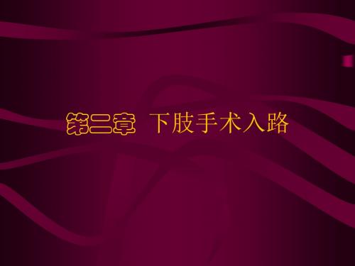 髋关节