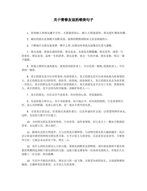 关于青春友谊的唯美句子