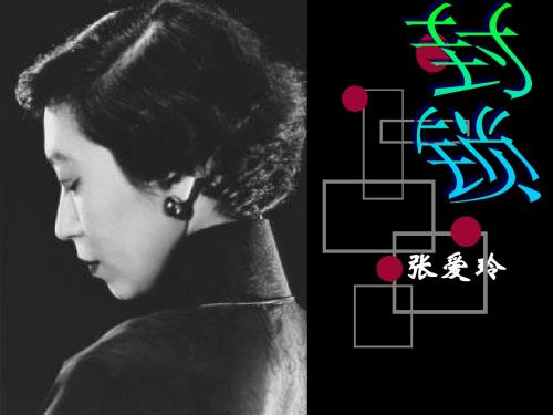 【高中语文】封锁ppt精品课件8