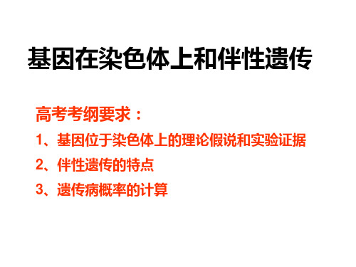 一轮复习基因在染色体上和伴性遗传PPT课件