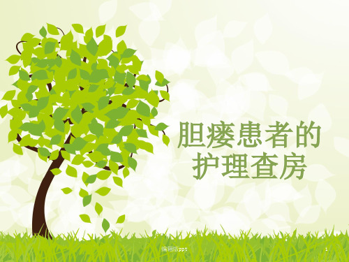 胆瘘患者的护理PPT课件