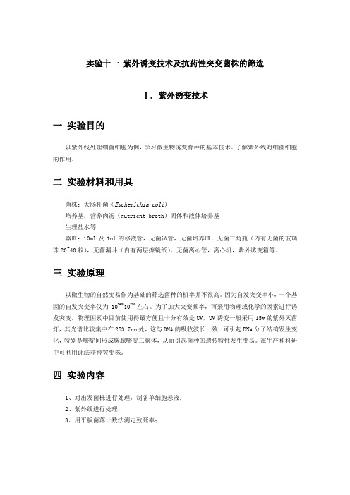 实验十一 紫外诱变技术及抗药性突变菌株的筛选