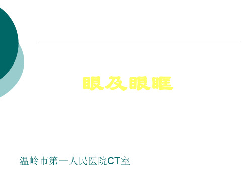 眼及眼眶疾病影像诊断 (1)