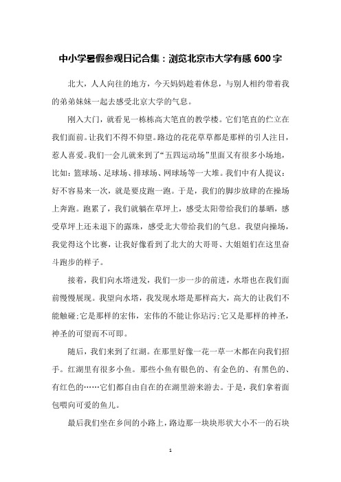 中小学暑假参观日记合集：浏览北京市大学有感600字