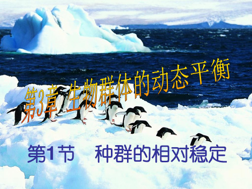 种群的相对稳定1北师大精品PPT课件