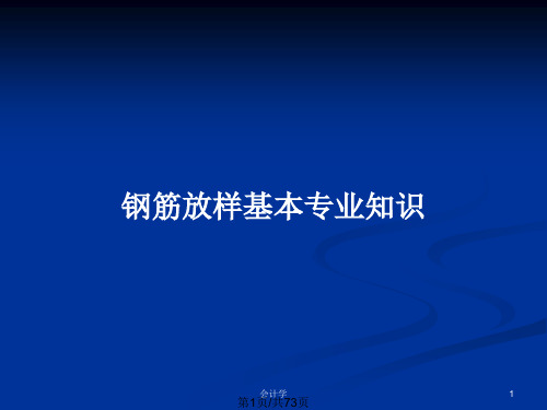 钢筋放样基本专业知识PPT教案