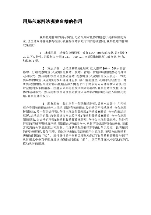 用局部麻醉法观察鱼鳍的作用.