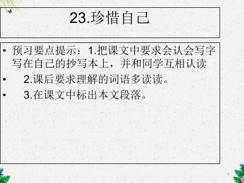 三年级上册语文课件-23.珍惜自己｜苏教版
