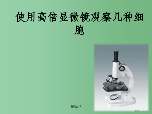 高中生物 实验课：使用高倍显微镜观察几种细胞课件 新人教版必修1