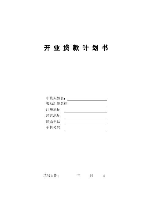 开业贷款计划书