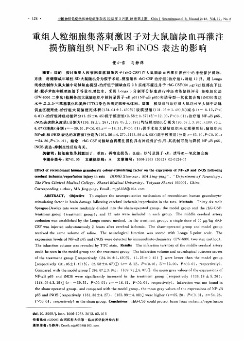 重组人粒细胞集落刺激因子对大鼠脑缺血再灌注损伤脑组织NF-κB和iNOS表达的影响