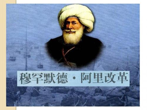 历史：专题六《穆罕默德·阿里的改革》课件(人民版选修一)