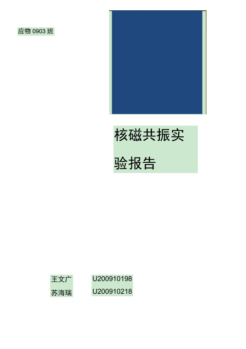 核磁共振实验报告