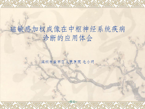 《SWI序列应用》PPT课件