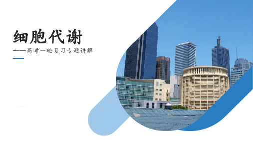 B-高中生物一轮复习——细胞代谢 (共46张PPT)