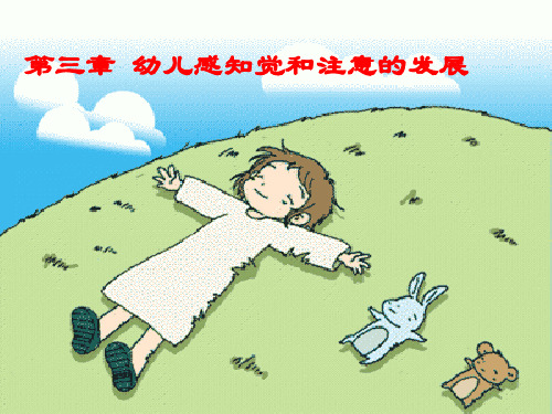 第三章幼儿感知觉、注意的发展