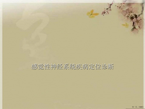 感觉性神经系统疾病定位诊断 (2)