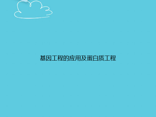 基因工程的应用及蛋白质工程精选PPT